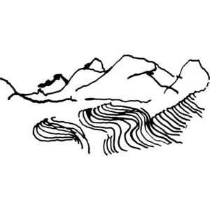 Catuaí Amarelo Cordilheiras